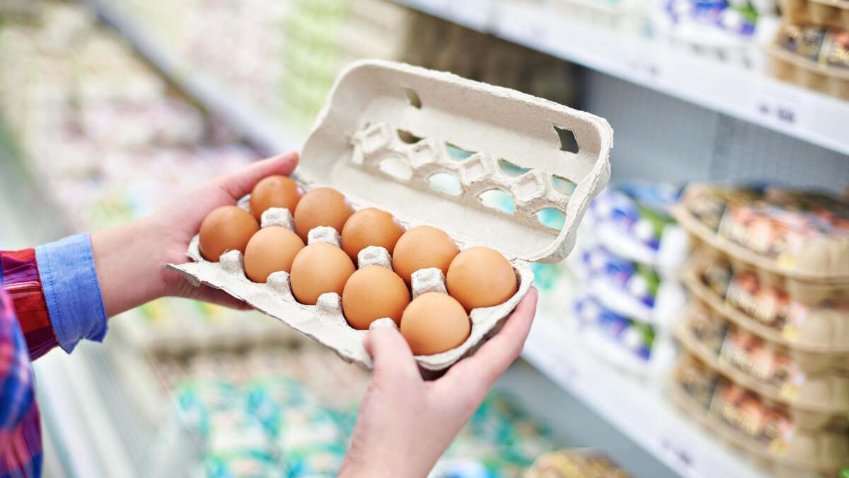 タンパク質を今すぐ入手する最も安い方法