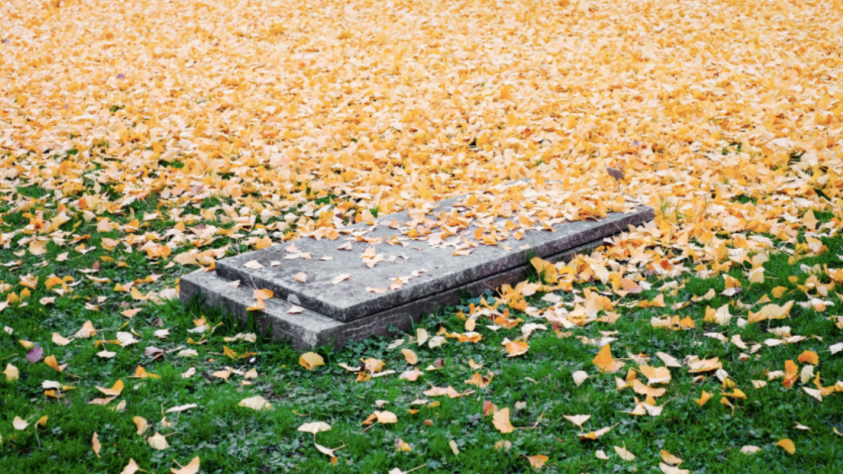 遺体を（合法的に）処分できるすべての方法は次のとおりです
