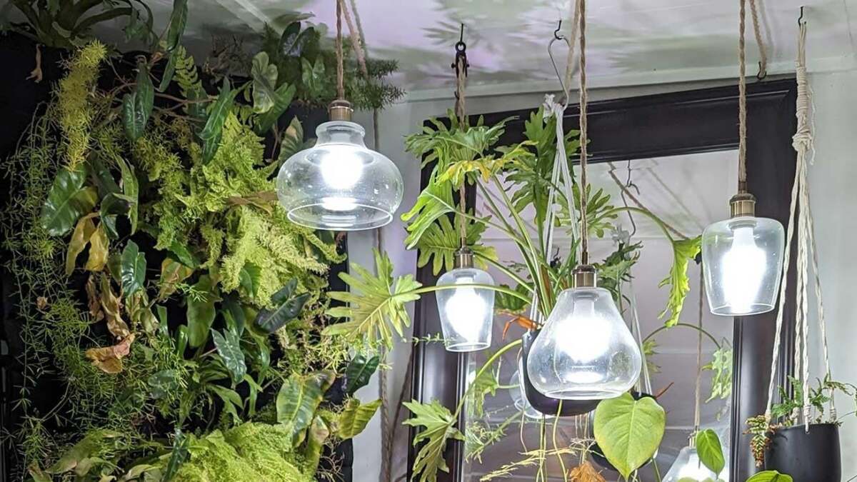 より良い (そしてより美しい) 成長ランプを DIY で作ることができます