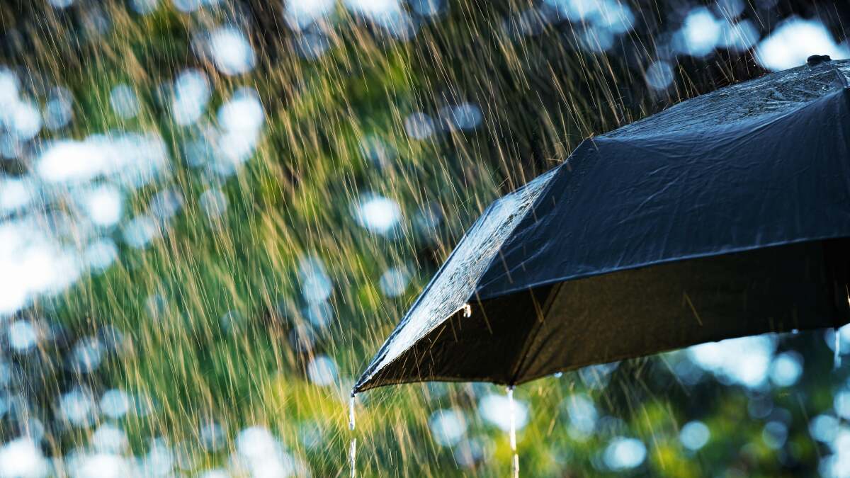 今年は「ねっとりと震える春」が待っている