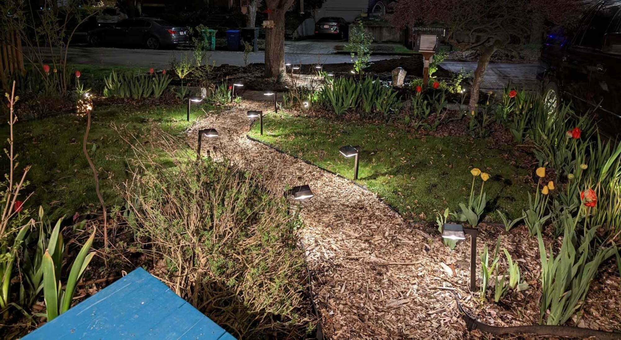 Footpath of a garden being lit by solar lights on either side, surrounded by grass and tulips. 