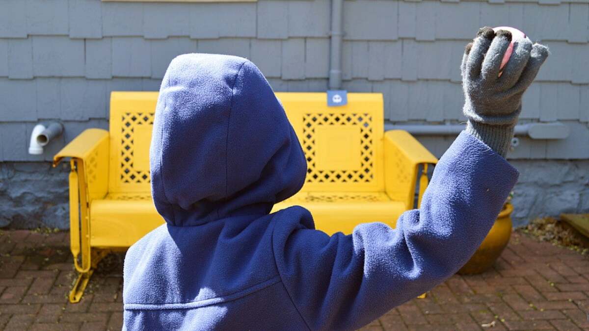 自分だけのポケモンハントを組織する方法