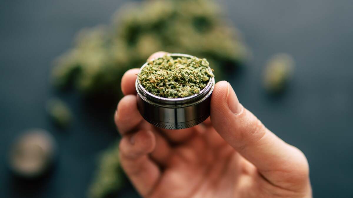 レモンの皮を使って大麻を水分補給しましょう