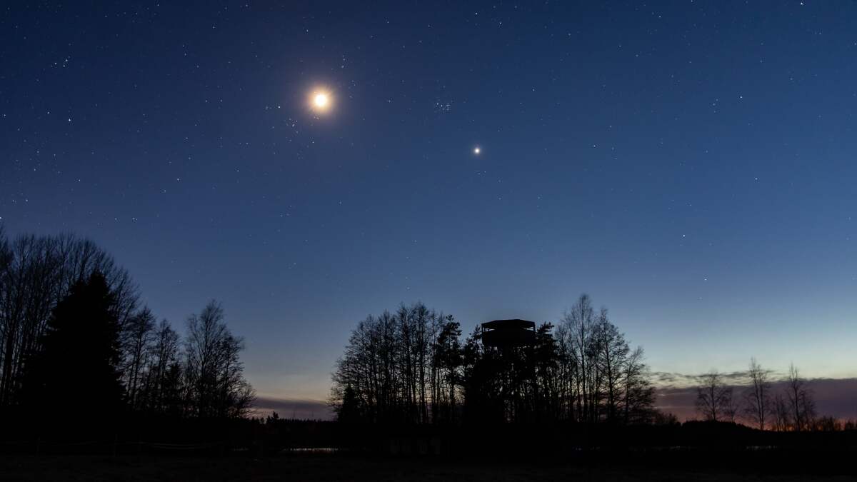 夜明けに並ぶ月と3つの惑星を観察する