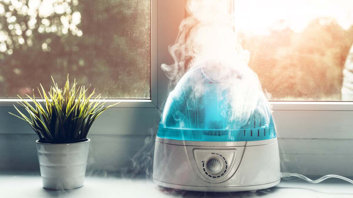 加湿器はおそらく汚いので、掃除して消毒する方法