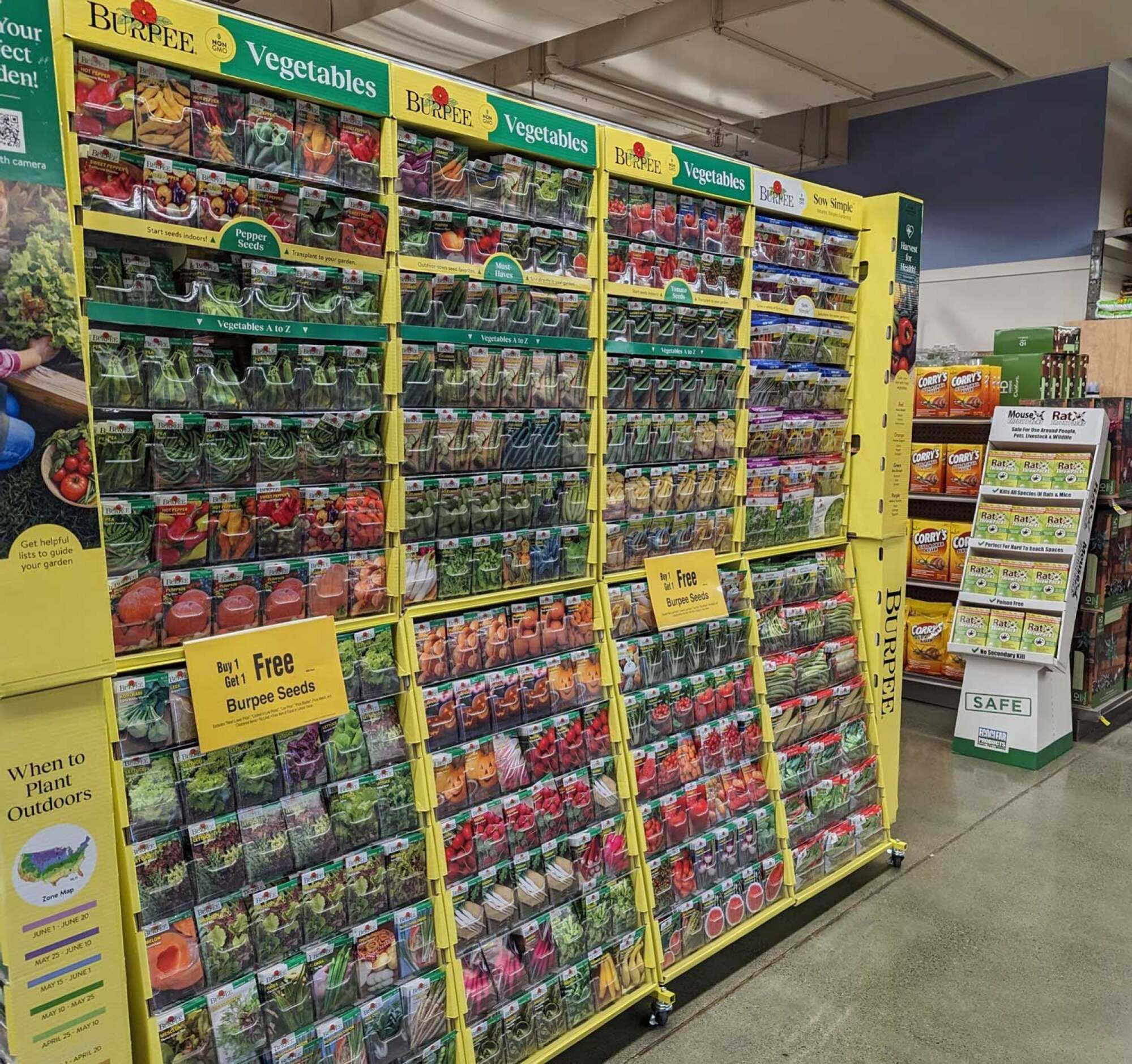 A large rack of colorful seed packages in a grocery store with a sign offering buy one get one free.