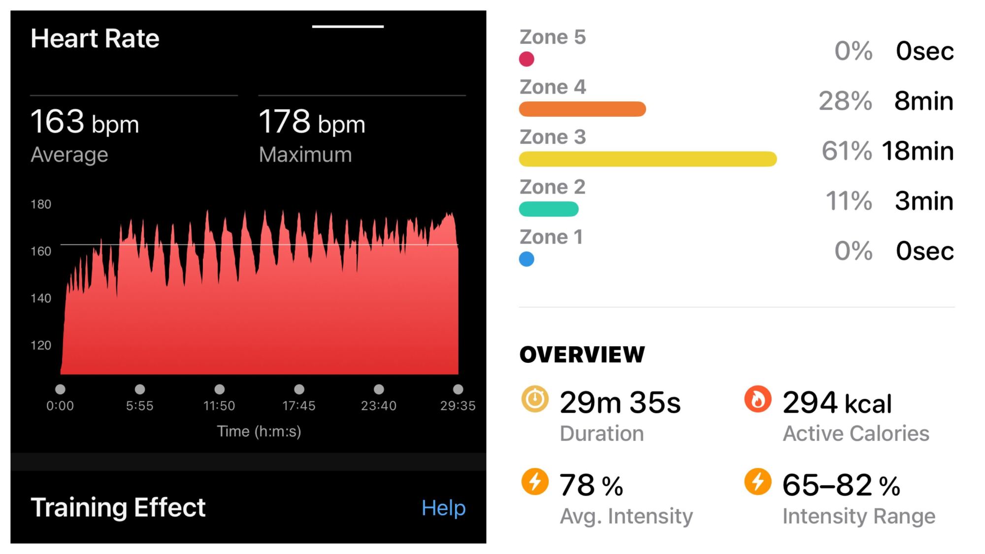 heart rate graph and zone breakdown. Average HR 163 (about 80% of my max). Most time was spent in zone 3, some in zone 4.