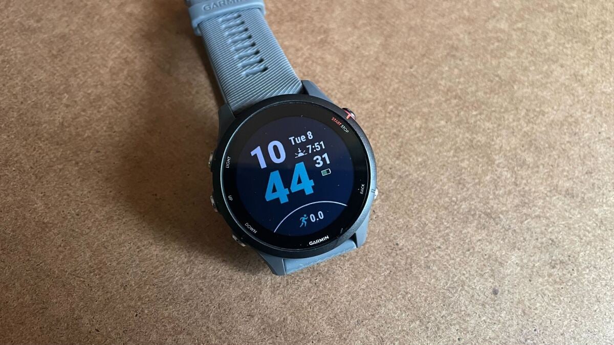 このGarmin Forerunner 255が信じられないほどの取引だと思う理由