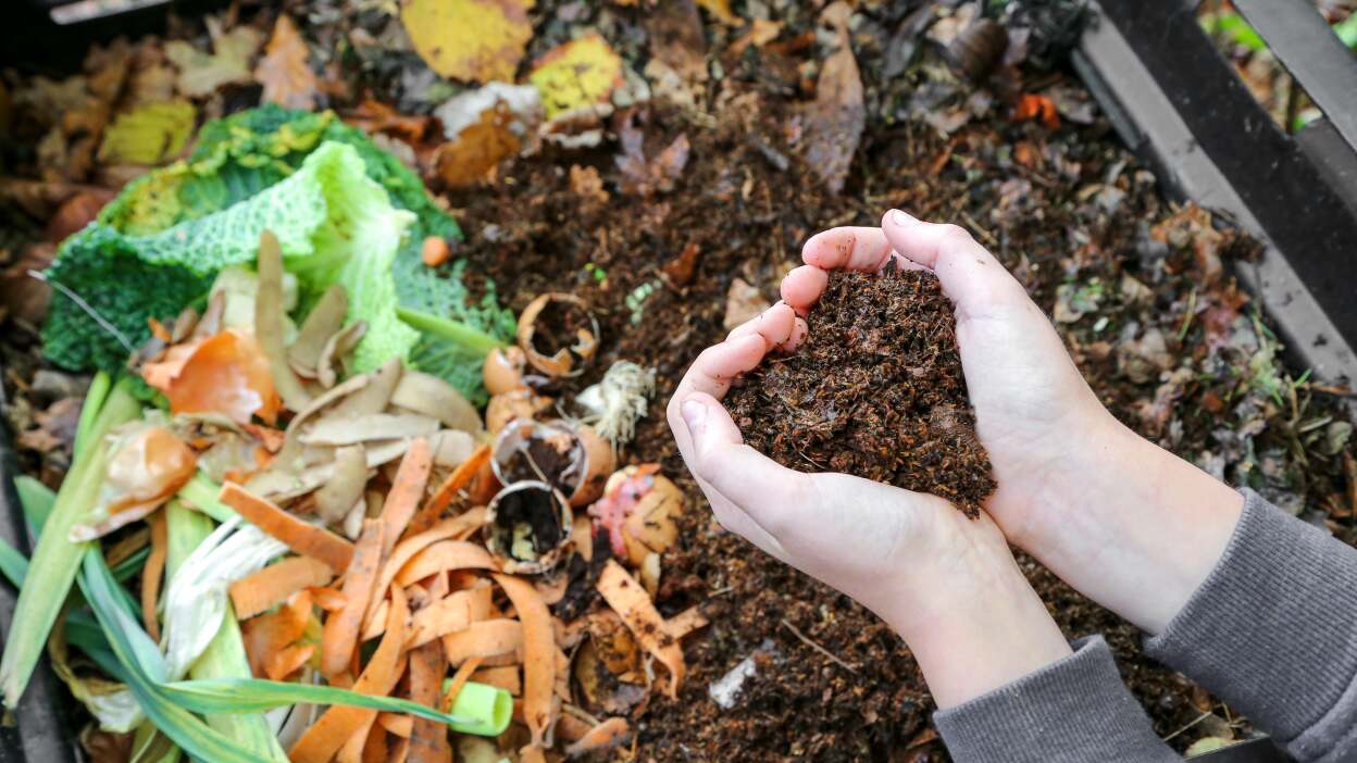 Boost your compost