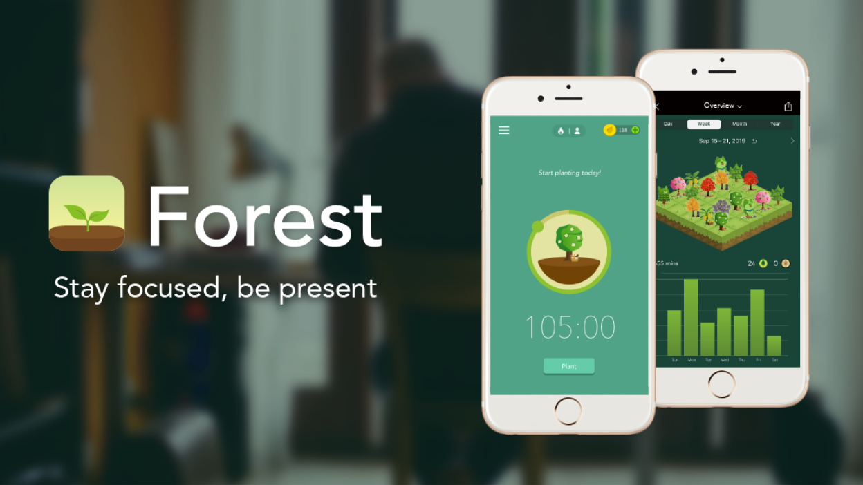 Staying focused: Forest