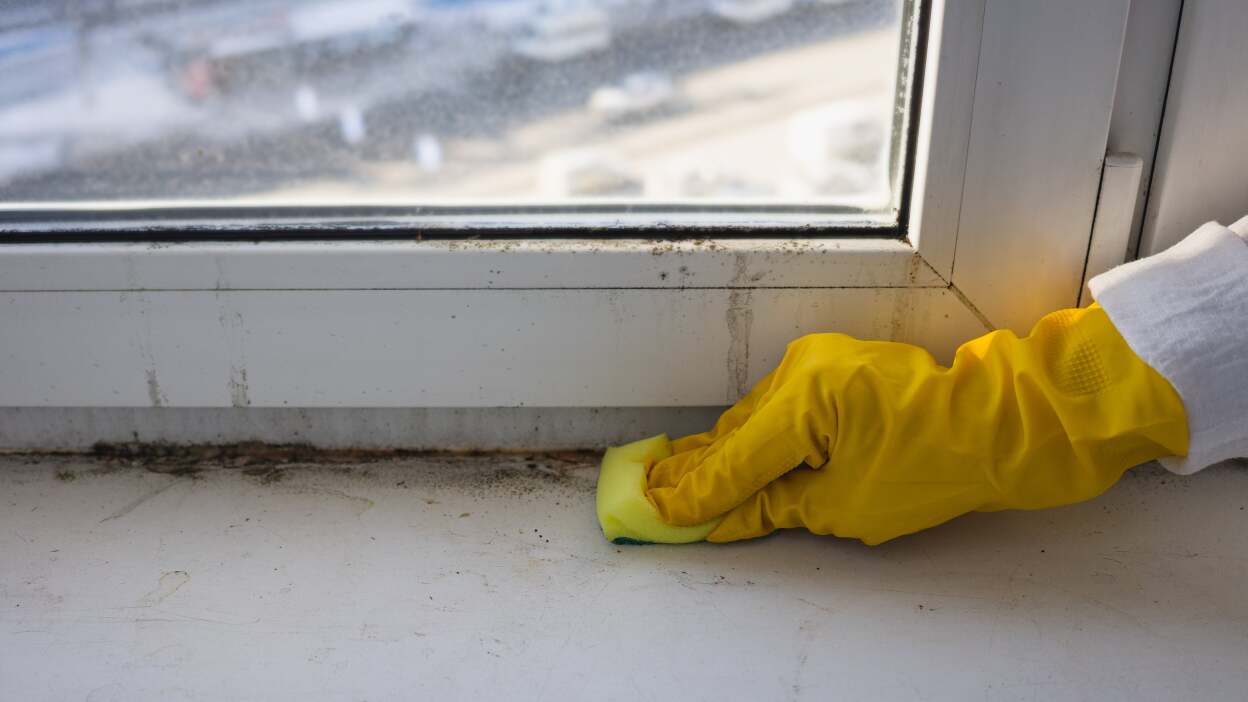 Mold or mildew