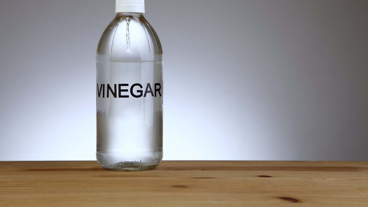 Distilled white vinegar