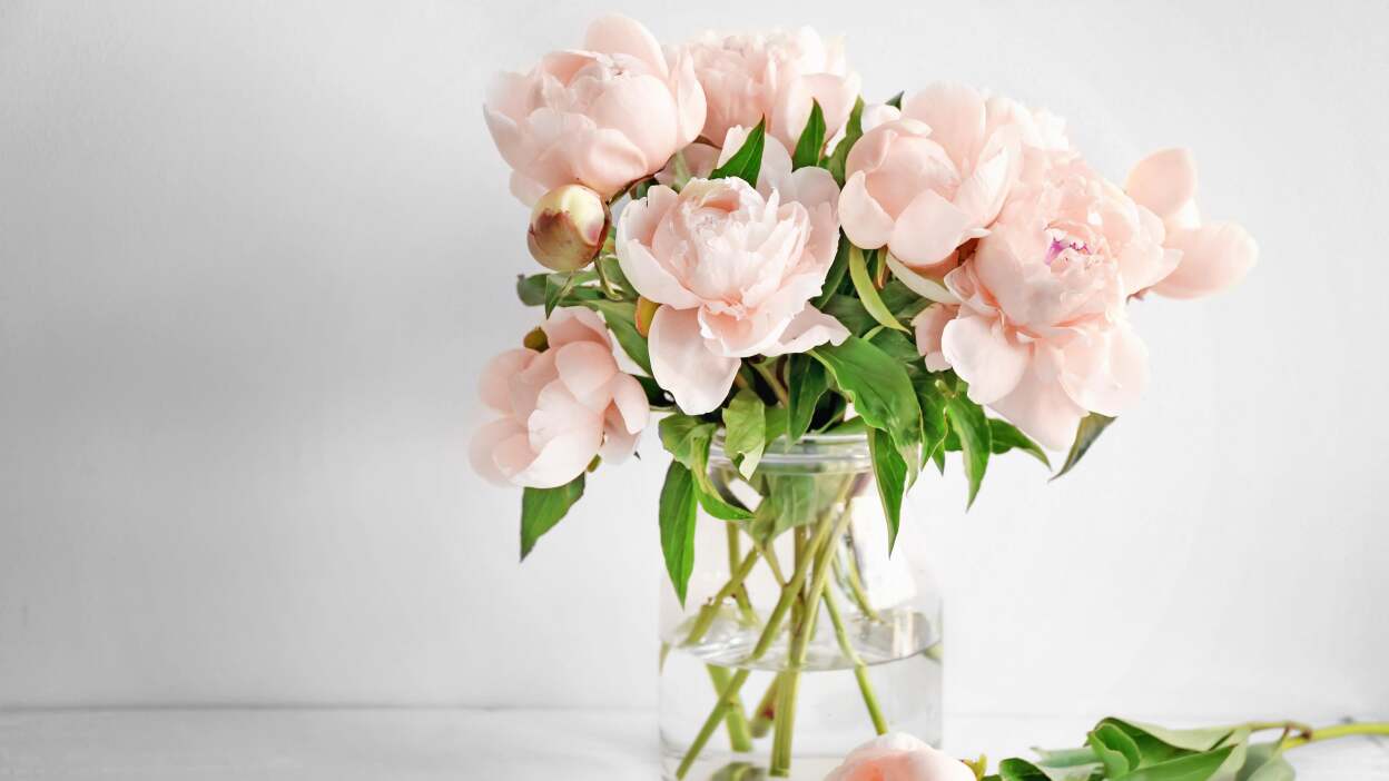 Keep flower bouquets alive longer 