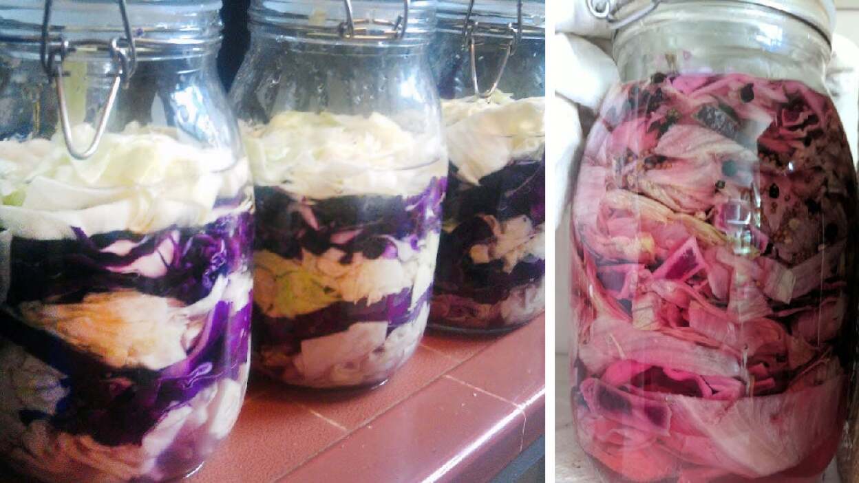 On the left, layered green and red cabbage kraut on day one. On day eight, the kraut has a unified pink color and is ready for eating. 