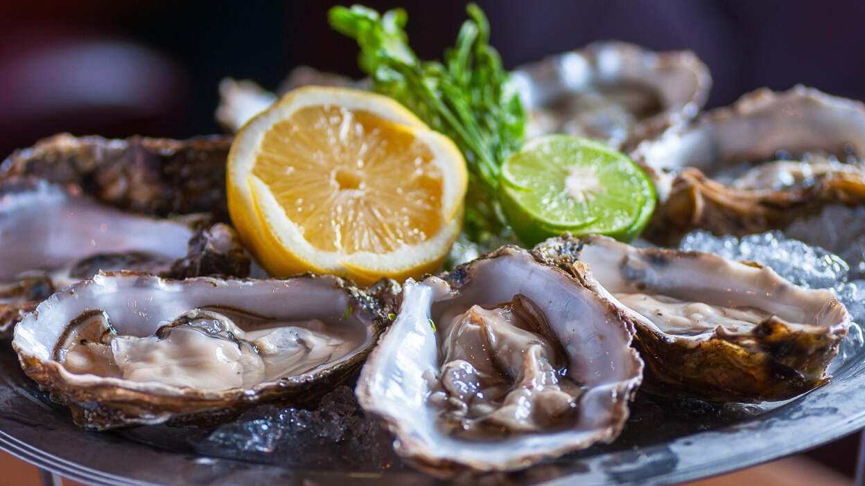  Oysters