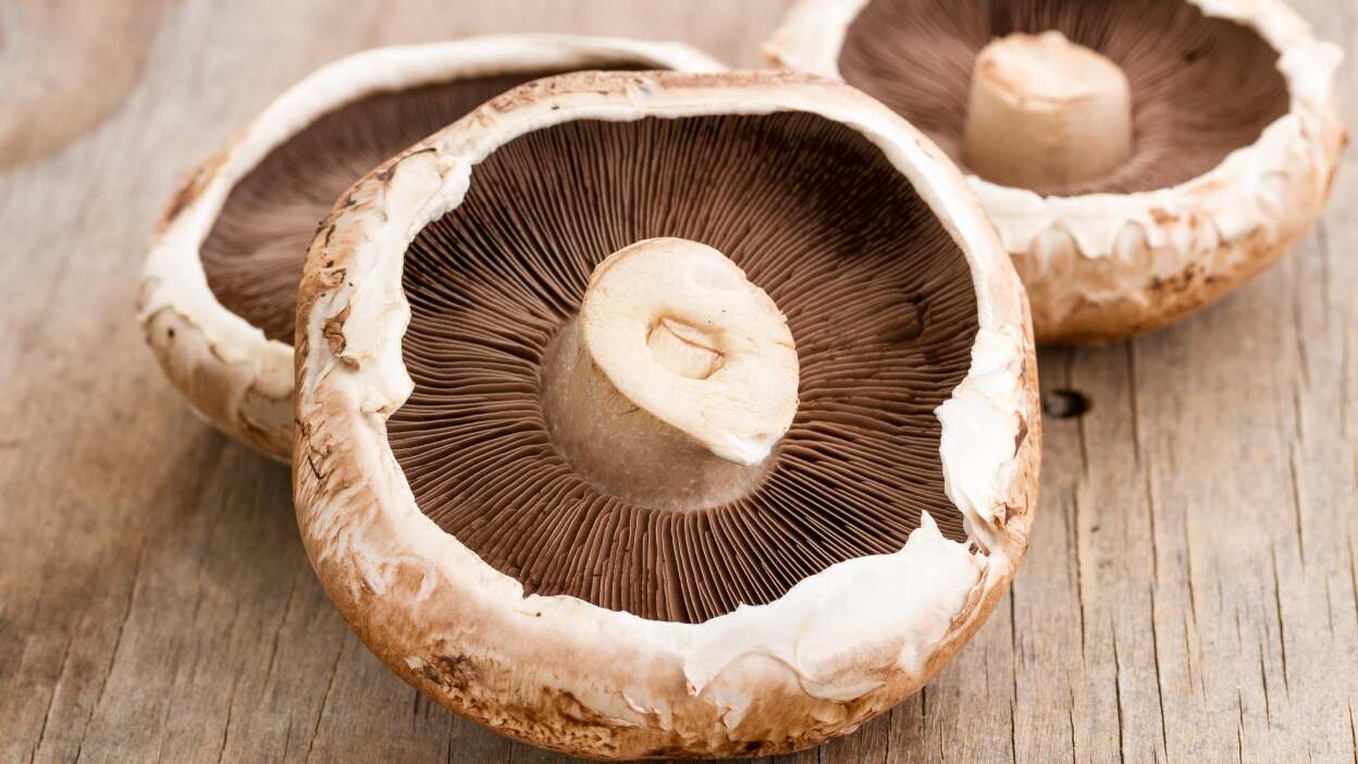  Portobello mushrooms