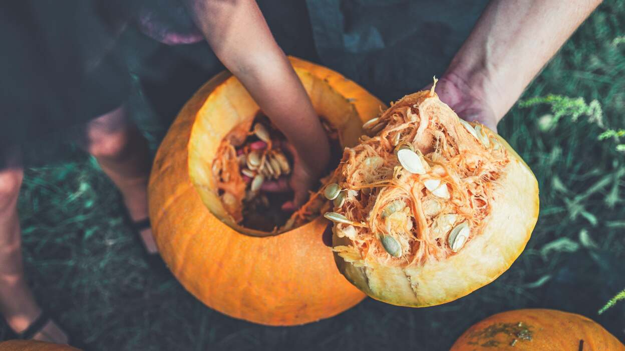 5 Tasty Ways You Should Be Using Your Pumpkin Seeds